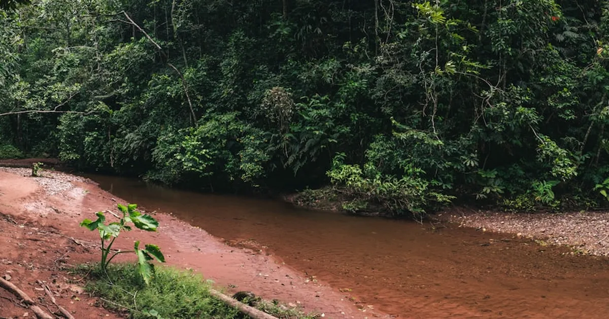 Manaus: la preghiera comunitaria riporta in vita una donna dichiarata in morte cerebrale