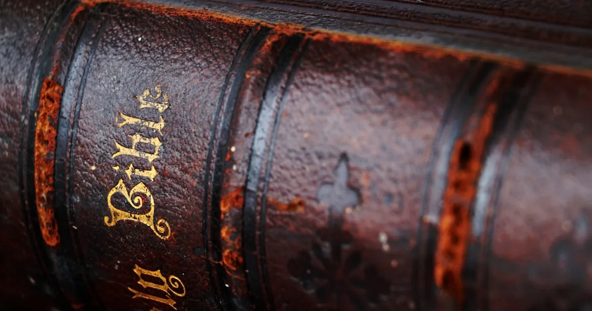 La familia según la Biblia: principios eternos para tu hogar cristiano