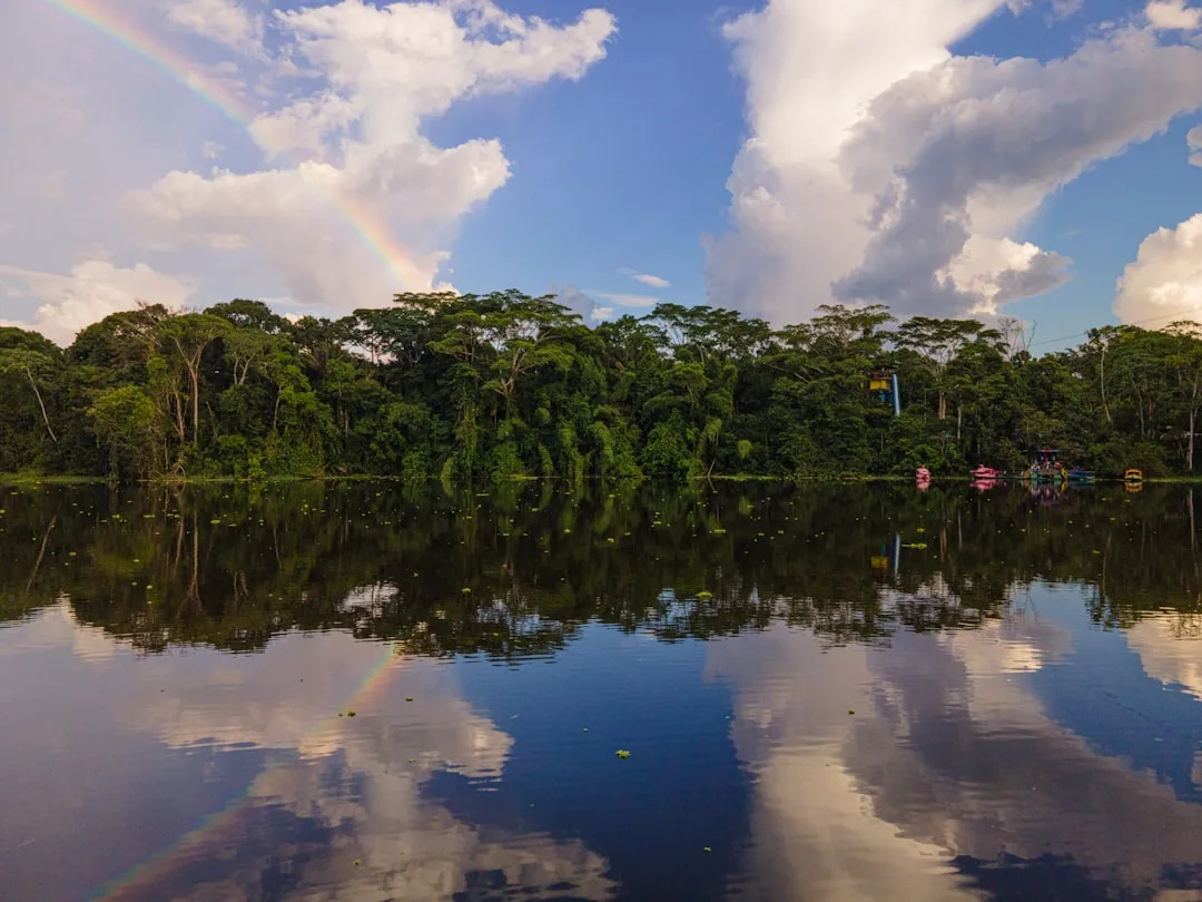 Un milagro en la Amazonía: La oración unida devuelve la vida donde la ciencia había declarado el fin
