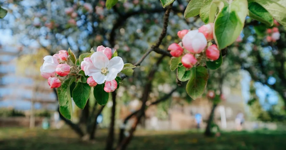 Frühlingsfröste und Bauernregeln: Ein Gespräch über Gottes Schöpfung und ihre Zeiten
