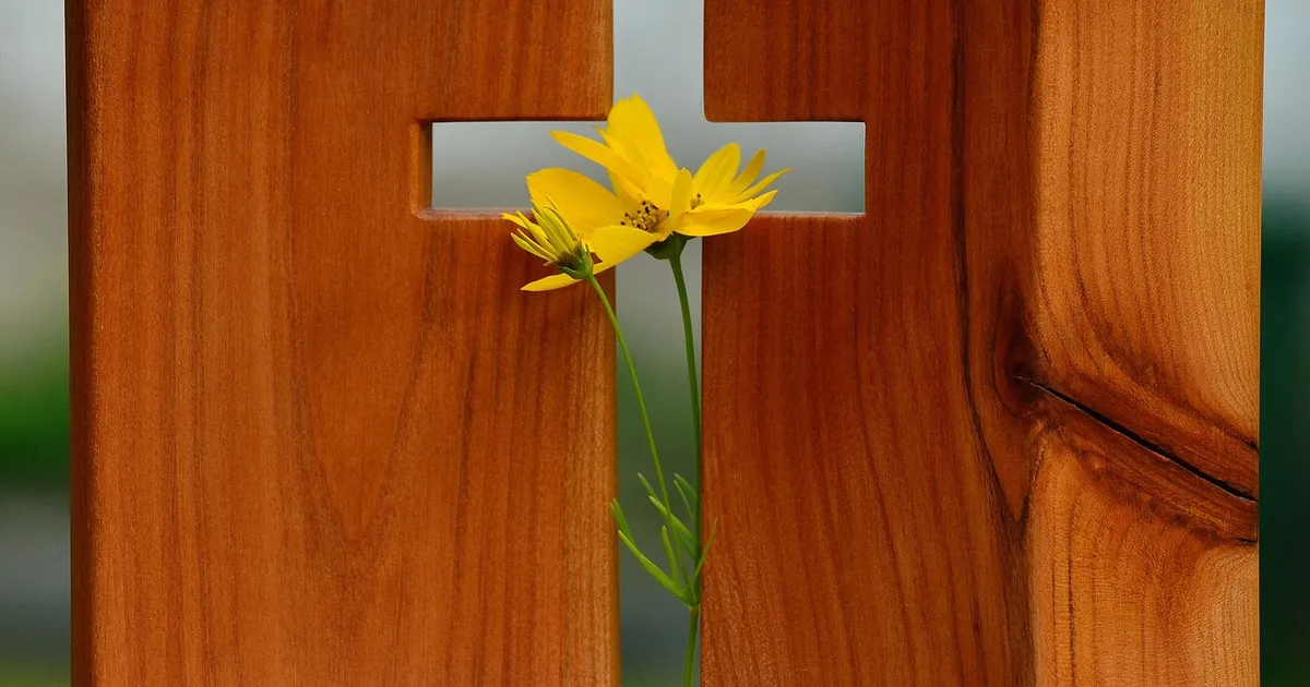 La promesse éternelle de Dieu : une espérance qui affermit le cœur