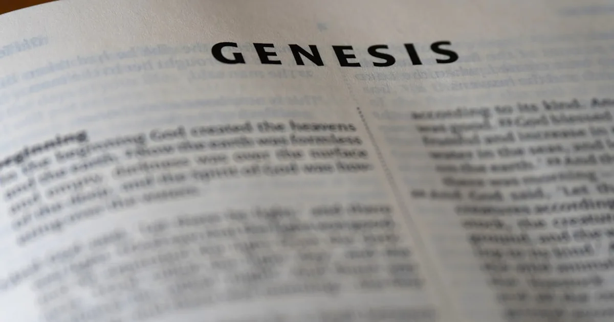 Compreendendo o gênero: biologia, identidade e fé cristã