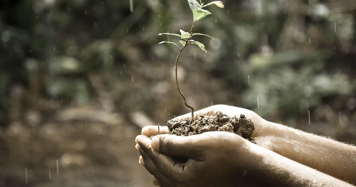 O Que É a Vida Eterna? Uma Visão Bíblica da Esperança Cristã