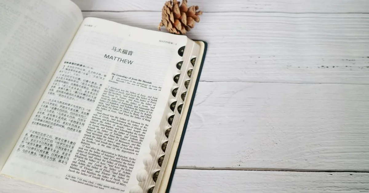 Christ's Light on Our Path: Today's Gospel and Reflections