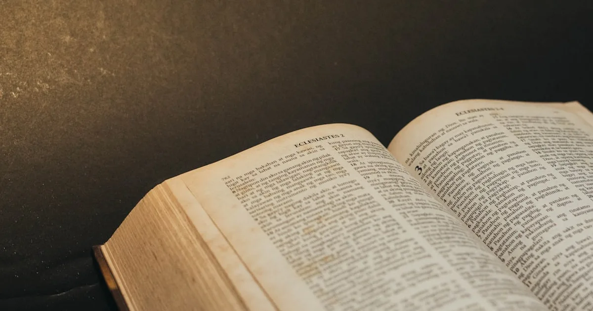 Die Bücher der Bibel verstehen: Ein Leitfaden für christliche Leser