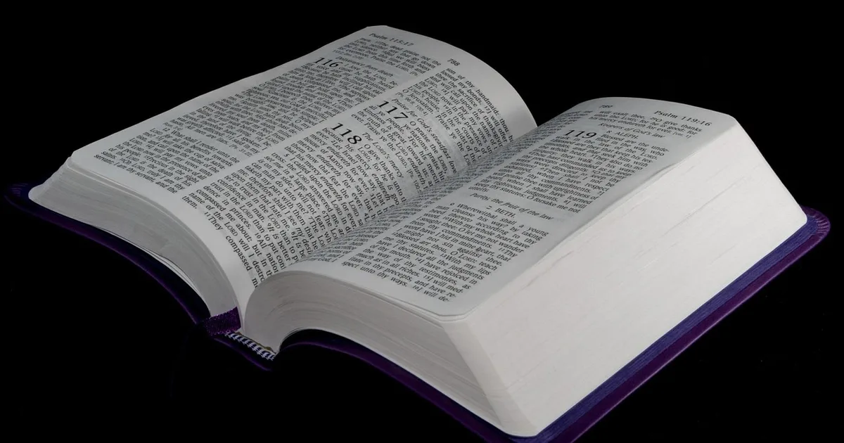 Salmo para dar tudo certo: Confie em Deus em cada situação
