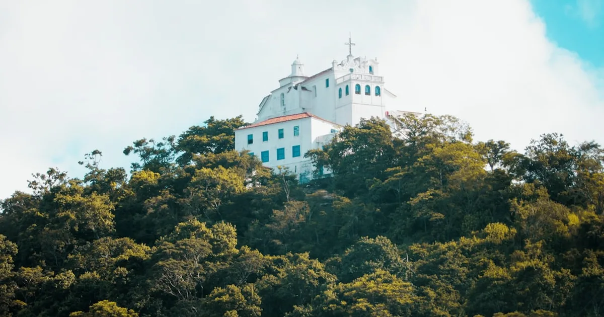 Brasil: Más de un millón de hombres peregrinan hacia Nuestra Señora de la Peña en una muestra de fe impresionante