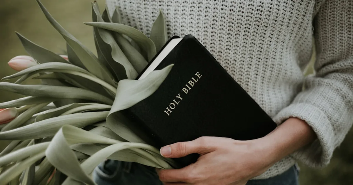 Liberto para amar: Como vencer o medo dos outros e confiar em Deus