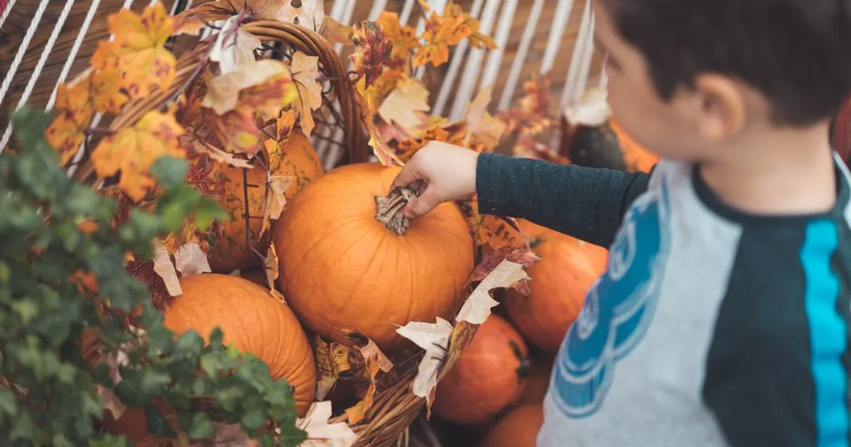 Halloween e fede: una prospettiva cristiana sul 31 ottobre