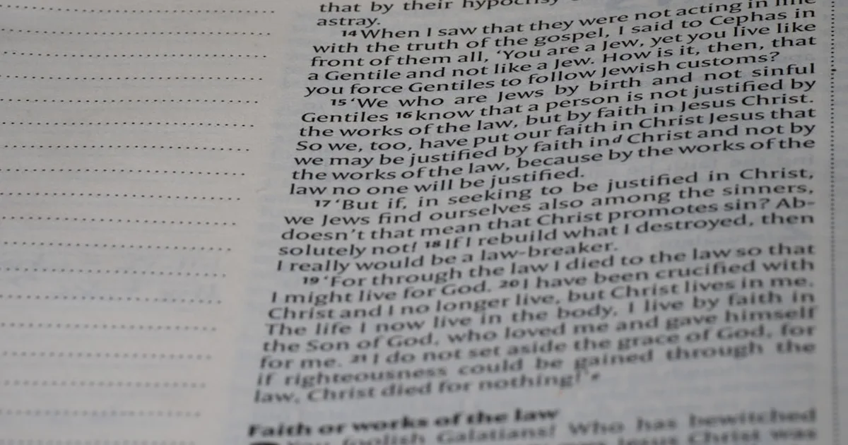 A Bible Verse on Gratitude That Will Reshape Your Heart