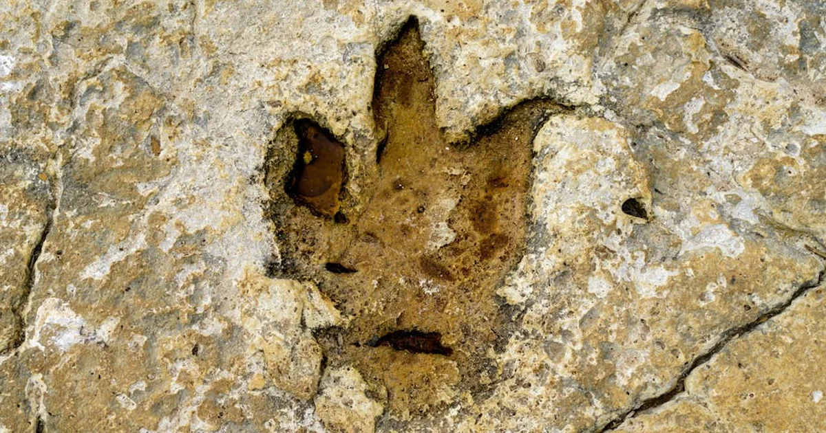 O que a Bíblia Diz sobre os Dinossauros? Um Guia Cristão para Entender
