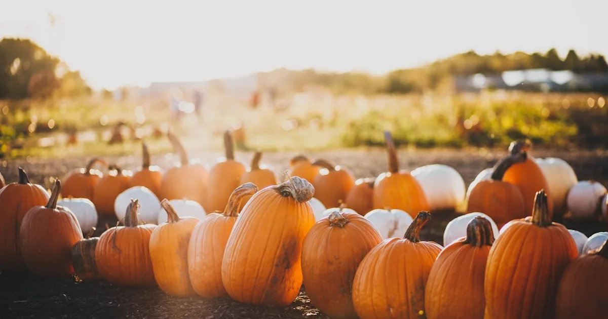 Halloween : une perspective chrétienne pour comprendre et vivre cette fête avec foi