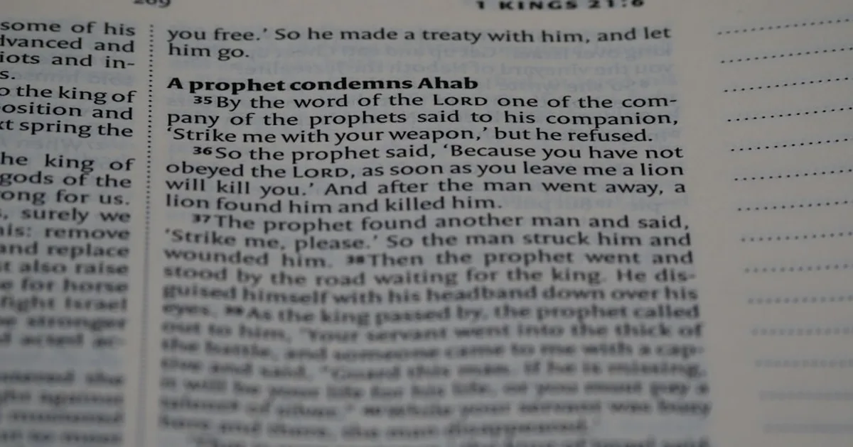 Mephibosheth: When Grace Finds the Broken and Forgotten