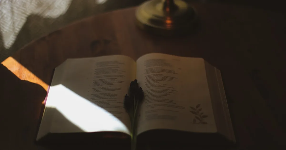 O Perdão de Deus: O Alicerce para uma Vida Transformada