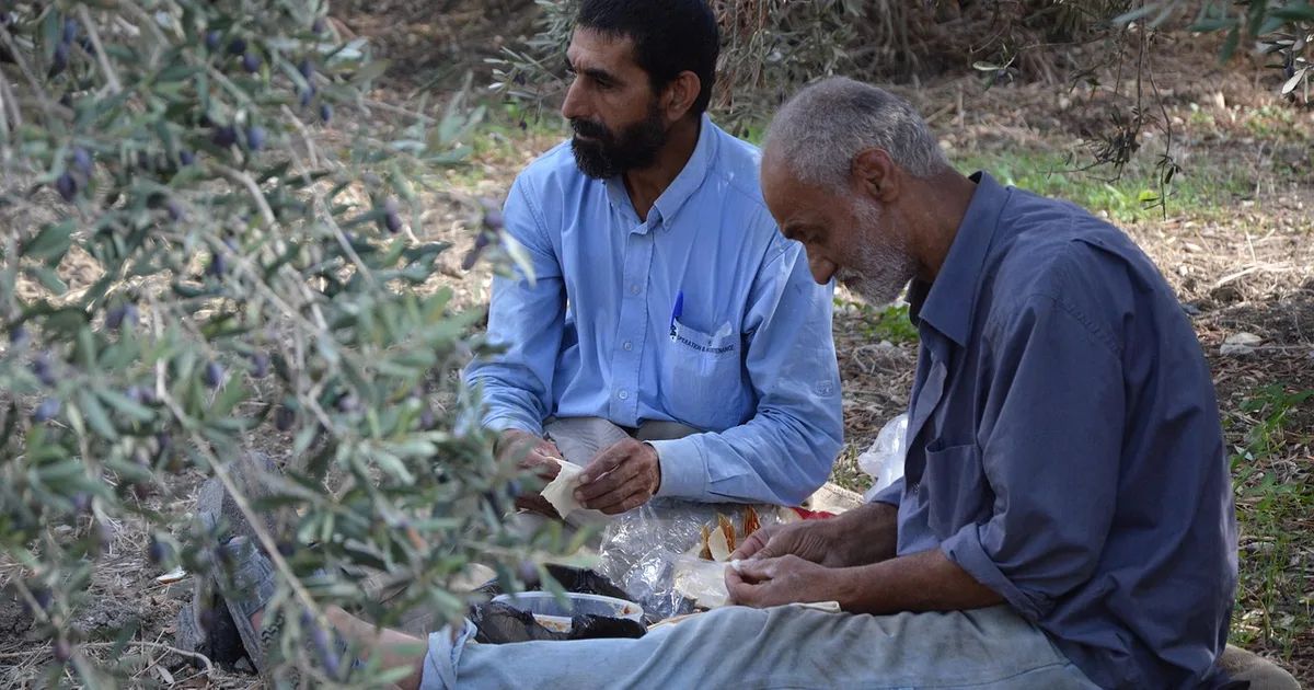 Lebanon's Journey: Finding Christian Hope Amidst Crisis and Conflict