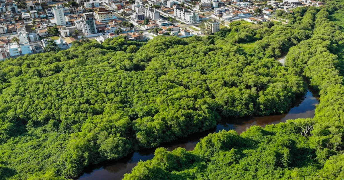 Cuidado da Criação: 10 anos de Laudato Si' e o legado do Papa Francisco no Brasil
