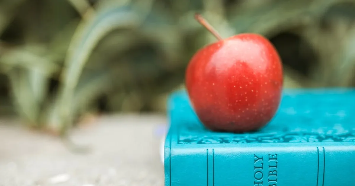 ¿Qué es la Vida Eterna? Una mirada bíblica a la esperanza cristiana