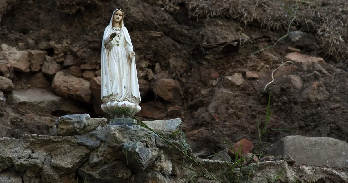 The Saint of the Day: A Friend and Guide for Your Faith Journey