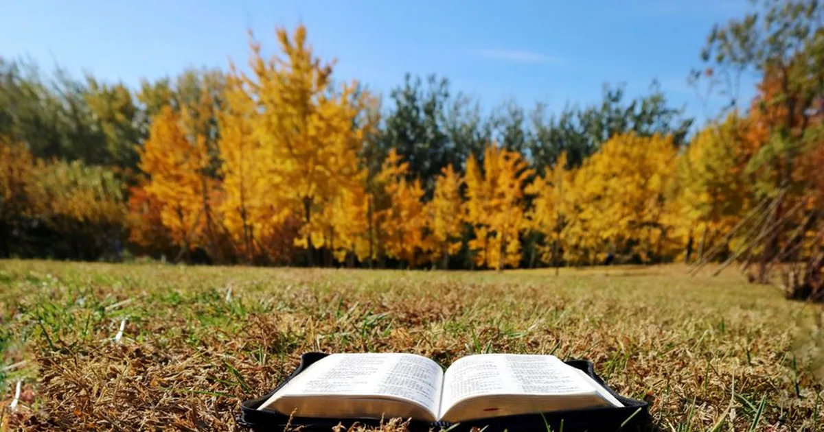 Finding Hope: Uplifting Bible Scriptures for Difficult Days