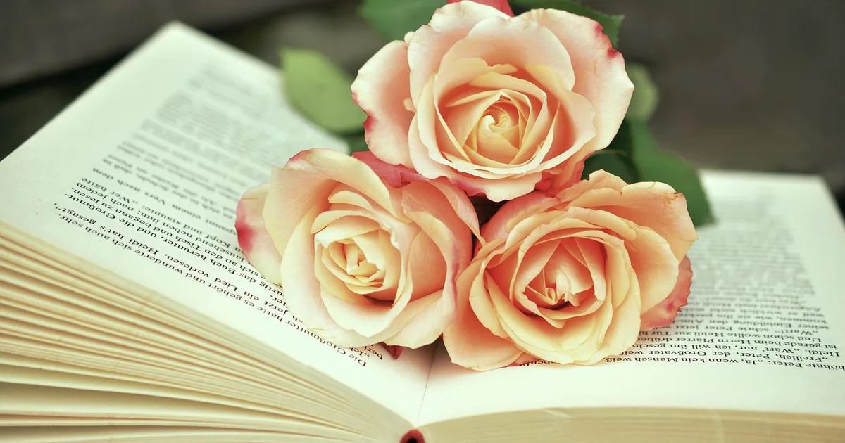 León XIV invita a leer: libros que transforman mente y corazón