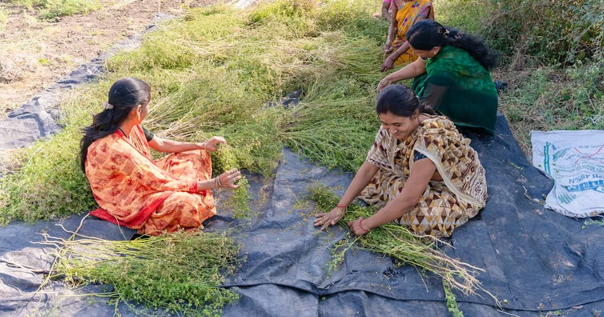 Mulheres Thakor na Índia: fé, trabalho e a luta por dignidade
