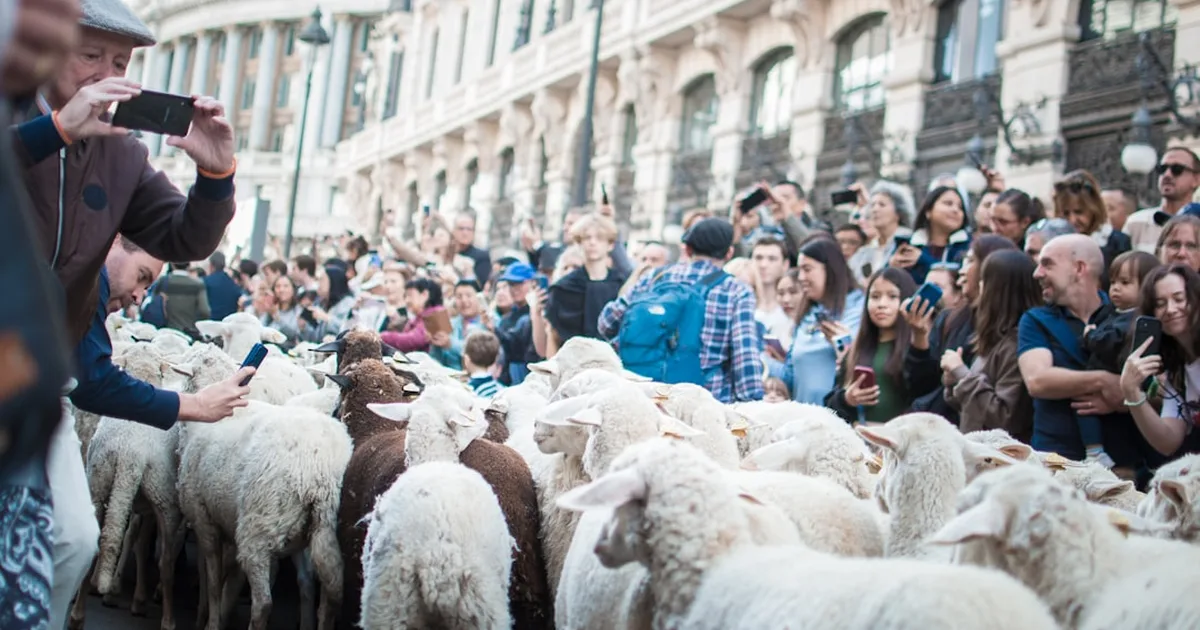 Pope Leo XIV: Jesus Isn't a Thief — He's the Shepherd Who Leads You to Freedom