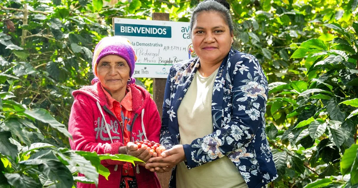 Café e Comunhão: Como Nossa Fé Floresce no Cotidiano