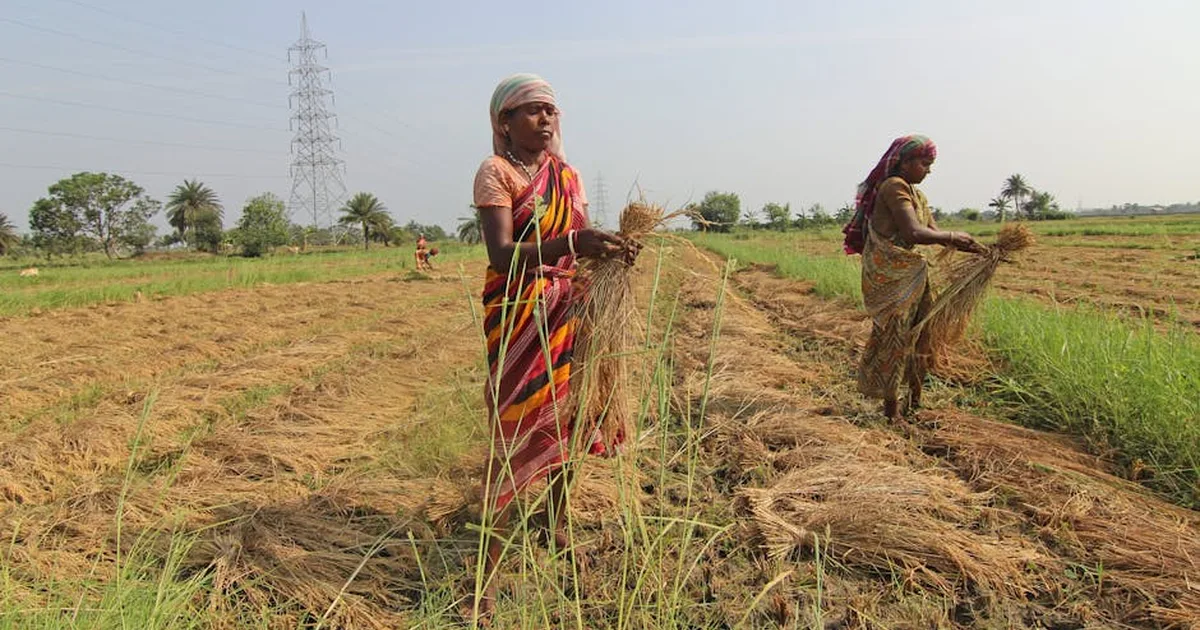 Donne Thakor in India: tra fede e lavoro, la lotta per i diritti