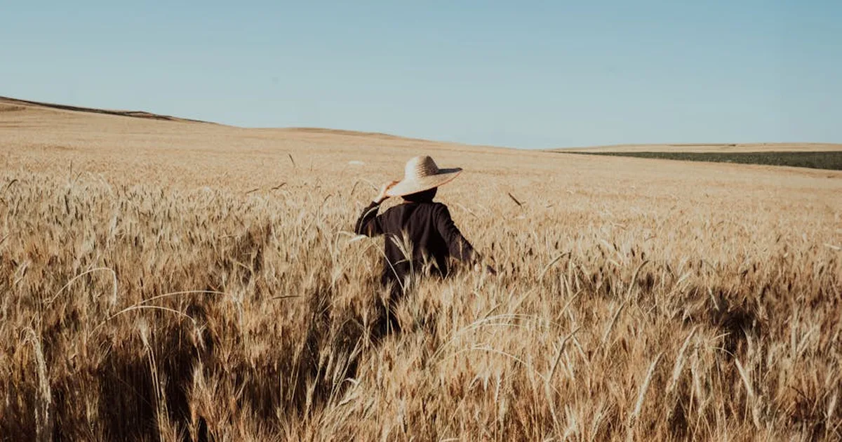 El libro de Ruth: fidelidad y amor más allá de las fronteras