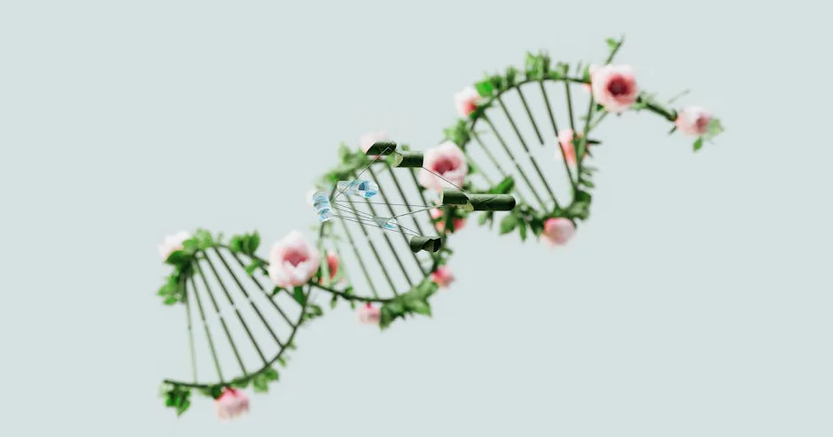 Fe y bioética: Caminando con sabiduría ante los avances tecnológicos