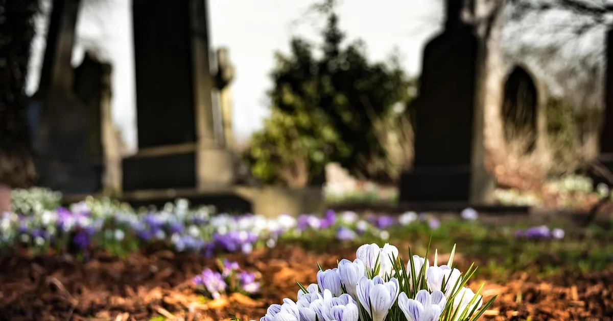When Church Grounds Become a Sanctuary for All: Balancing Reverence and Community Needs