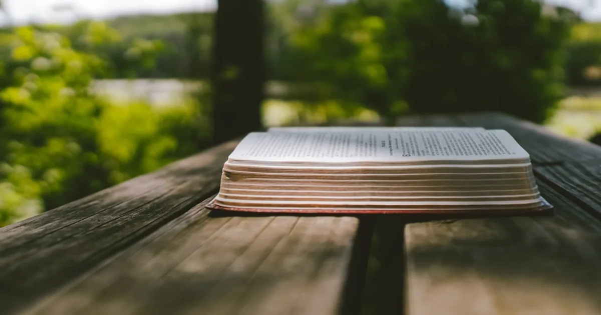 Sorpresas que Transforman: Cómo los Momentos Inesperados Moldean Nuestra Fe
