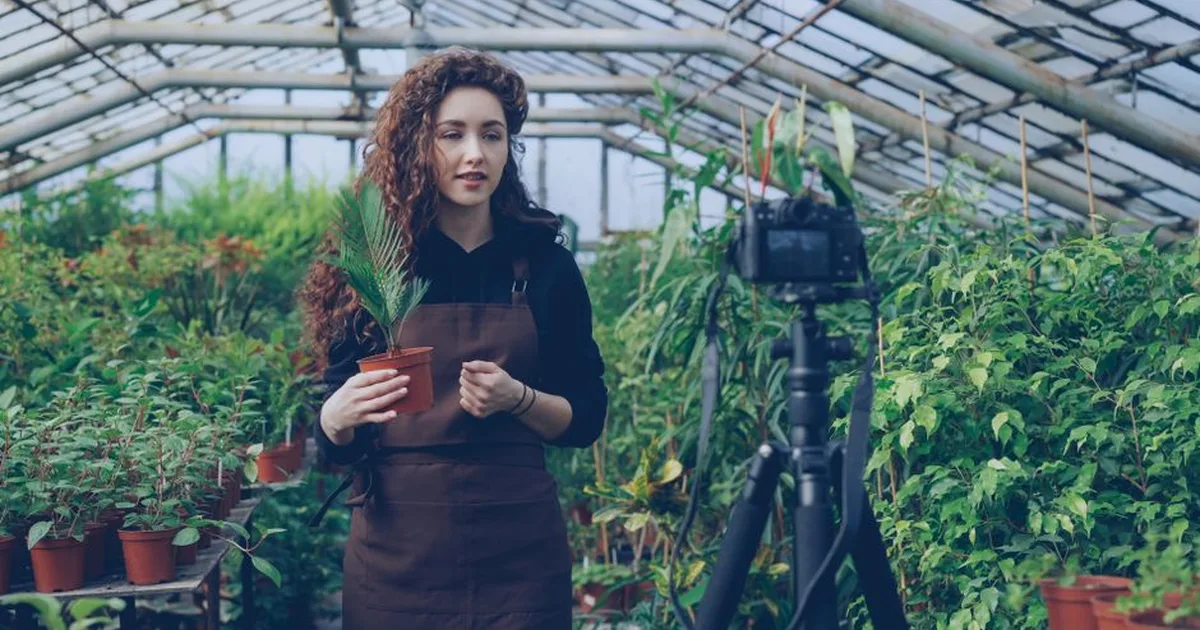 L'Écologie Intégrale : Une Vision Chrétienne de l'Environnement