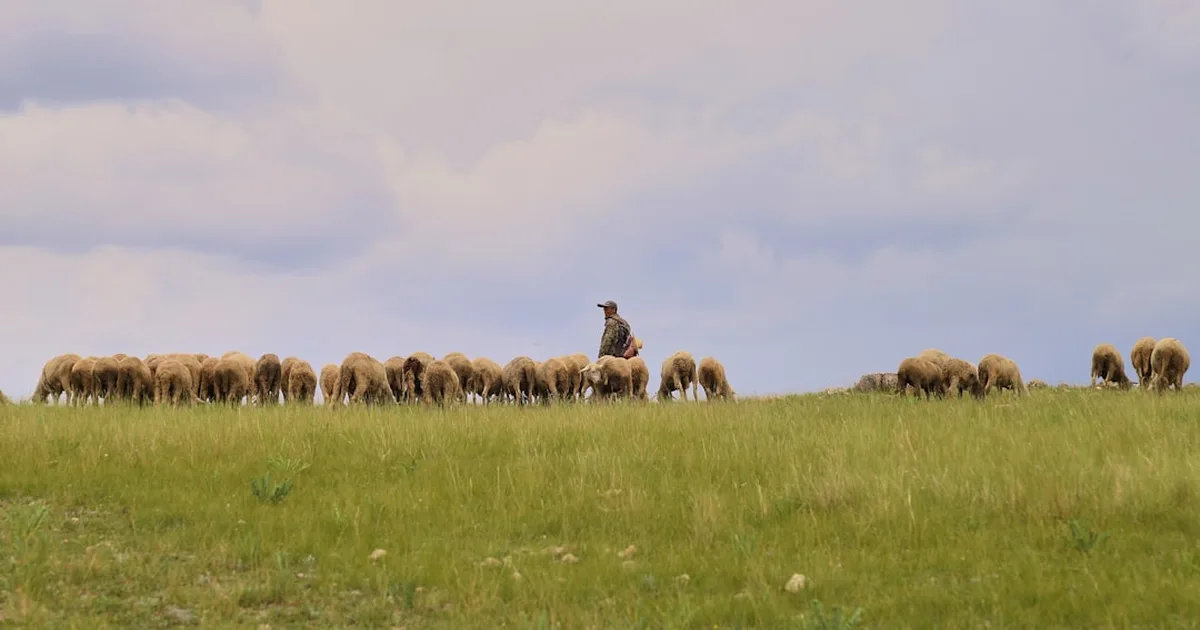 Découvrir Jésus-Christ : le chemin, la vérité et la vie