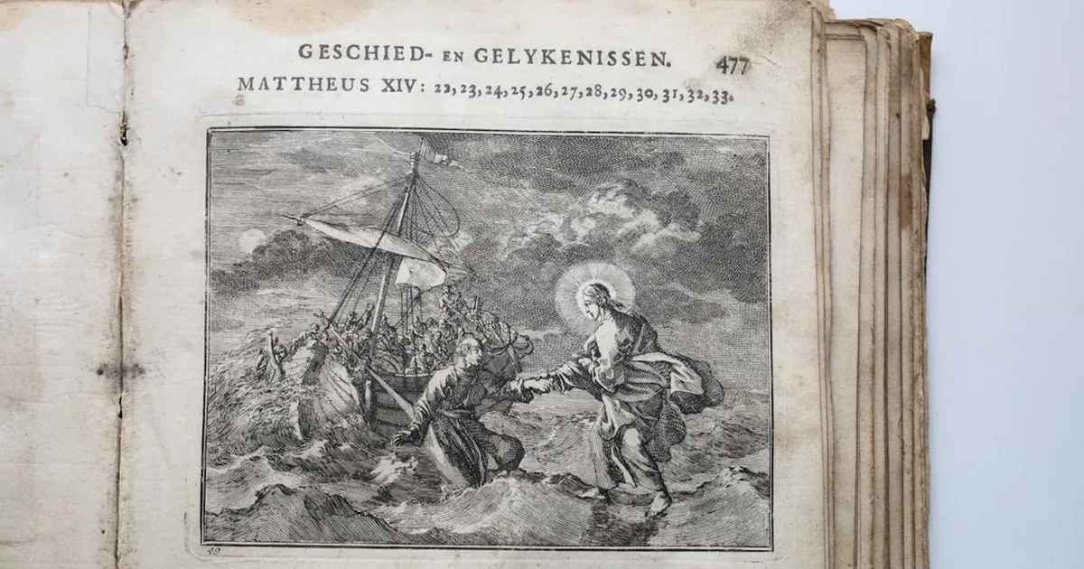 Hidden Bible Details: The Divine Puzzle That Reveals God's Hand