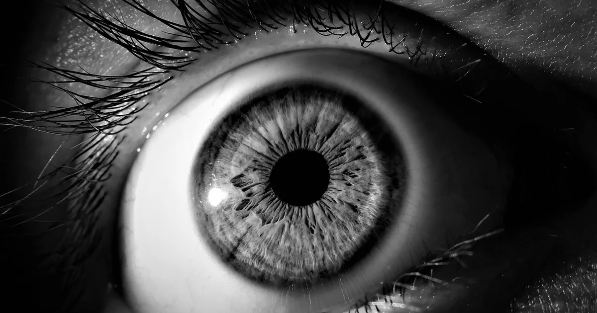 La santidad de Dios: un misterio que transforma tu vida