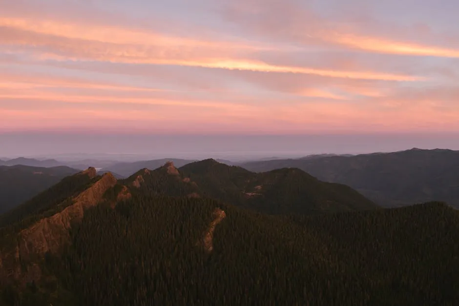 Seeking God's Guidance: Wisdom for Discerning His Will