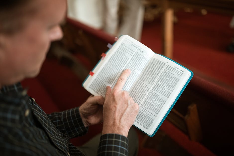 Principi Biblici: ¿Qué está pasando exactamente en el libr...