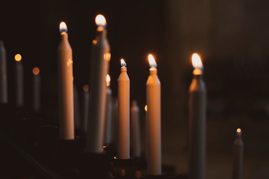 La Révélation de Dieu dans la Création : Découvrir le Créateur à Travers Son Œuvre