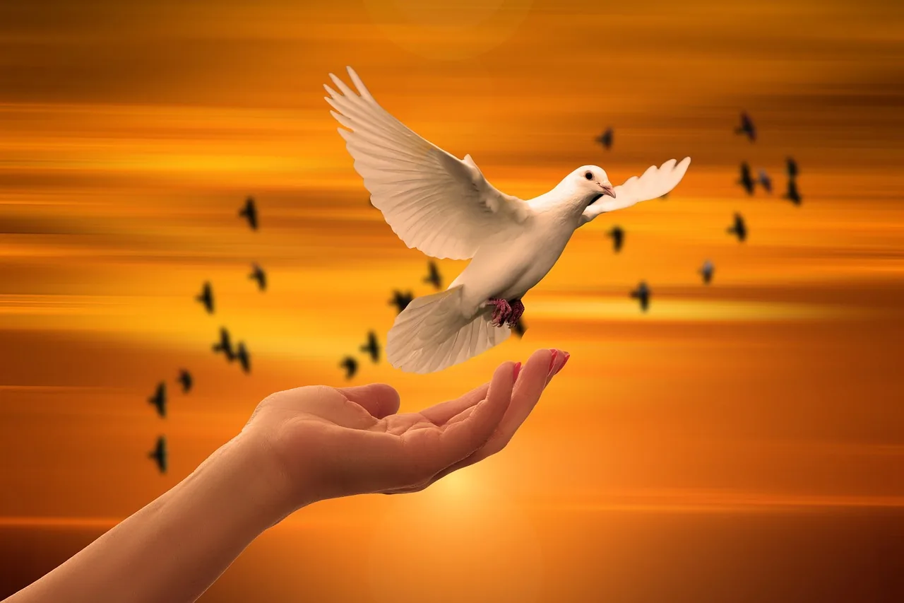 O Perdão Como Caminho de Libertação Espiritual