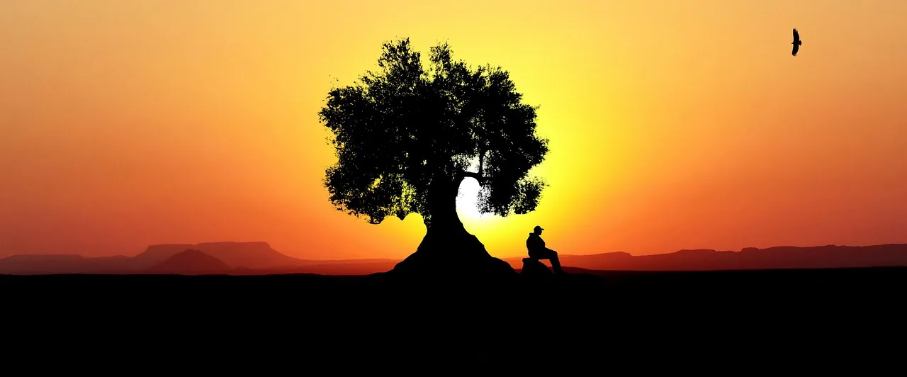 La preghiera contemplativa: il silenzio che parla a Dio