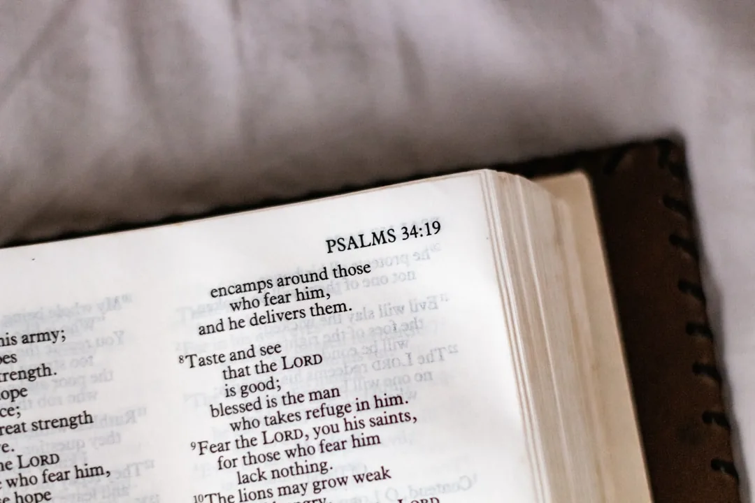 Die Psalmen: Gebete für jede Lebenssituation