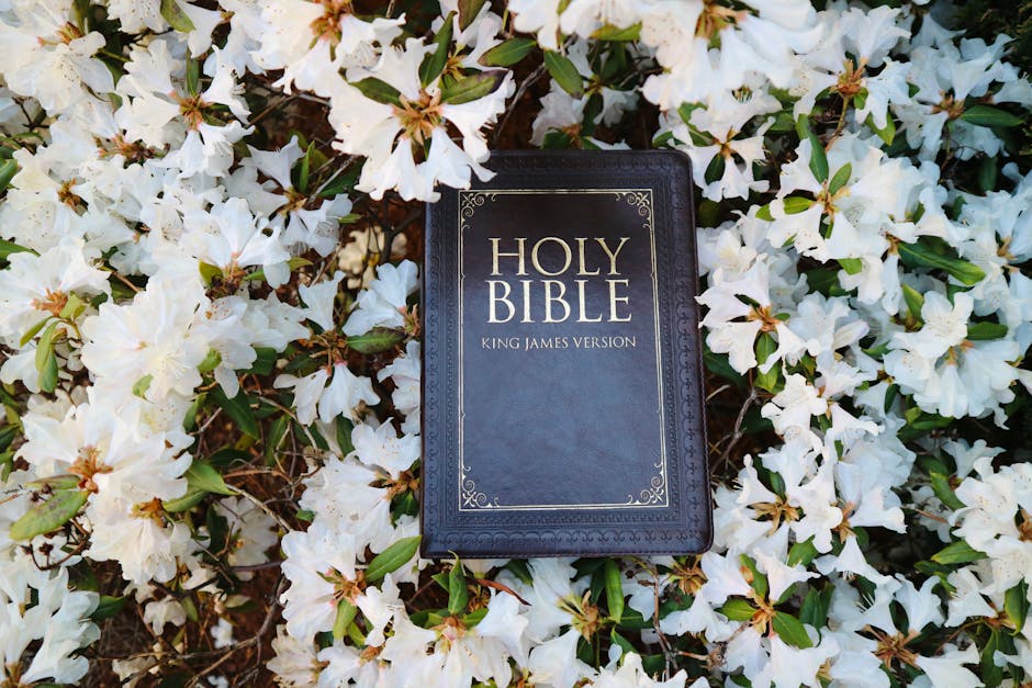 Beyond Religious Familiarity: Cultivating Genuine Spiritual Transformation: Perspectiva Cristiana