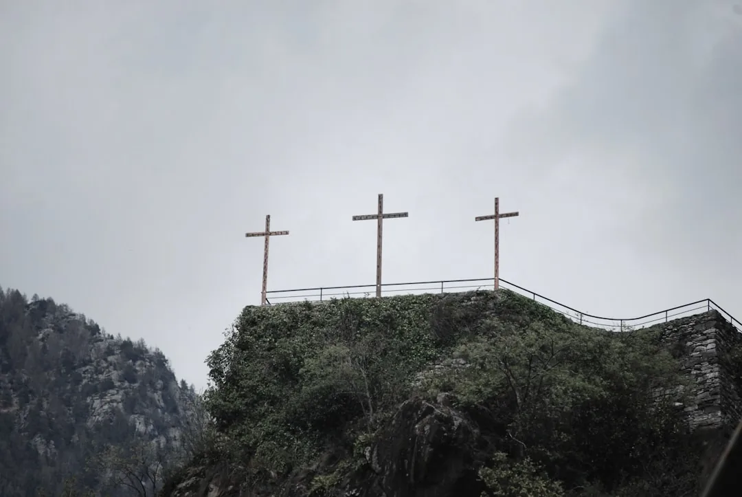 Cristianismo y ecología: cuidar la creación como vocación