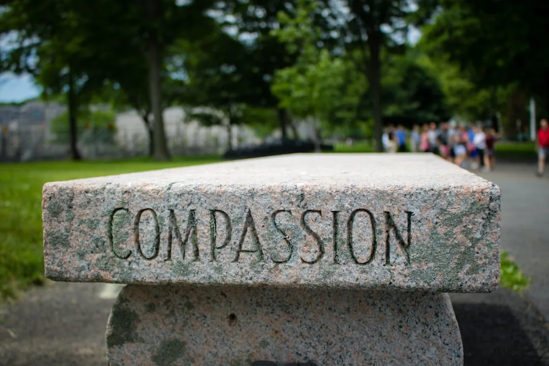 Measuring Divine Compassion: How Jesus Ministry Reveals Gods Holistic Care for Human Flourishing
