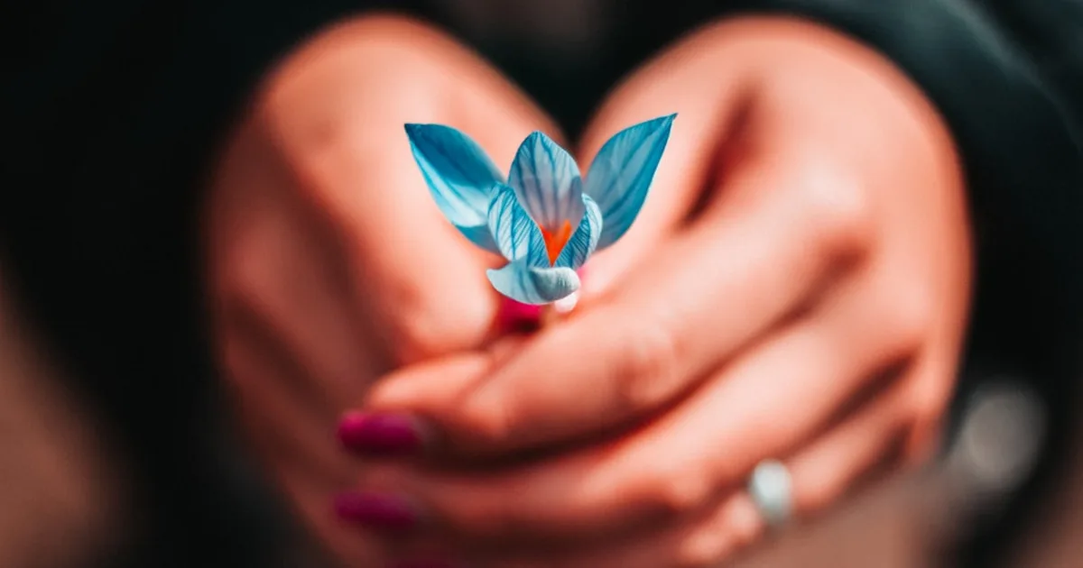 Finding Peace in Turbulent Times: A Prayerful Path to Calm