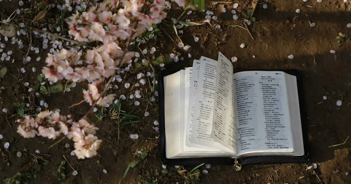¿Qué dice la Biblia sobre la cremación? Una guía cristiana