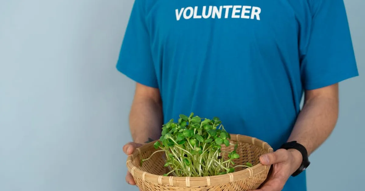 Cosechando Fe: Los Jardines como Puente entre la Creación Divina y la Comunidad Cristiana