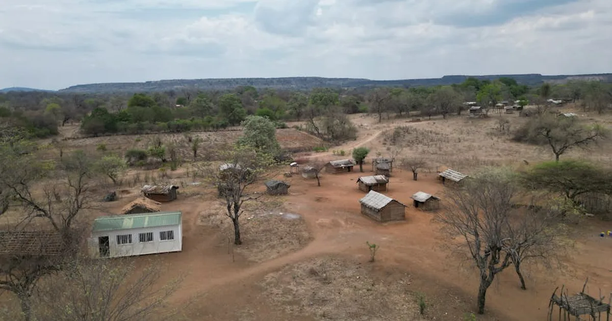 When a System Saves a Life: Lessons from Rural Malawi
