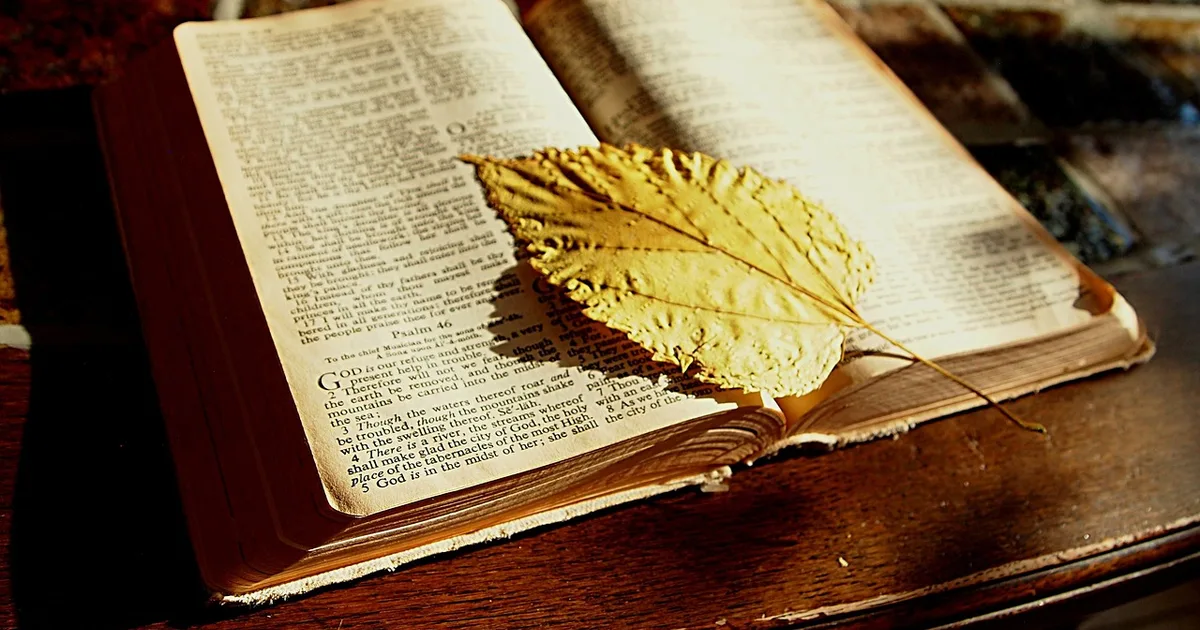 Un llamado a compartir nuestra fe: Inspiración desde Roma para la evangelización actual